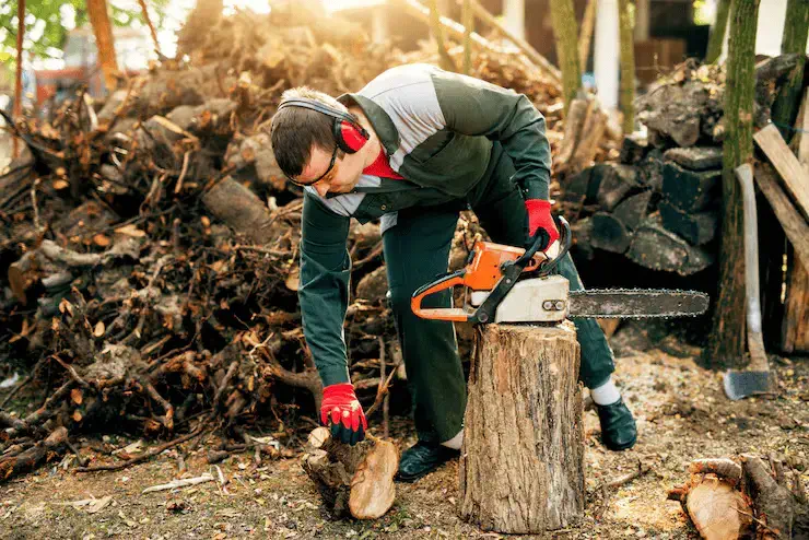 Arborist using a chainsaw