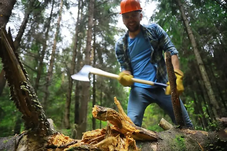Man chopping tree with an axe